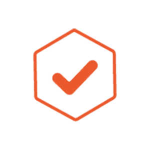 bcyip logo